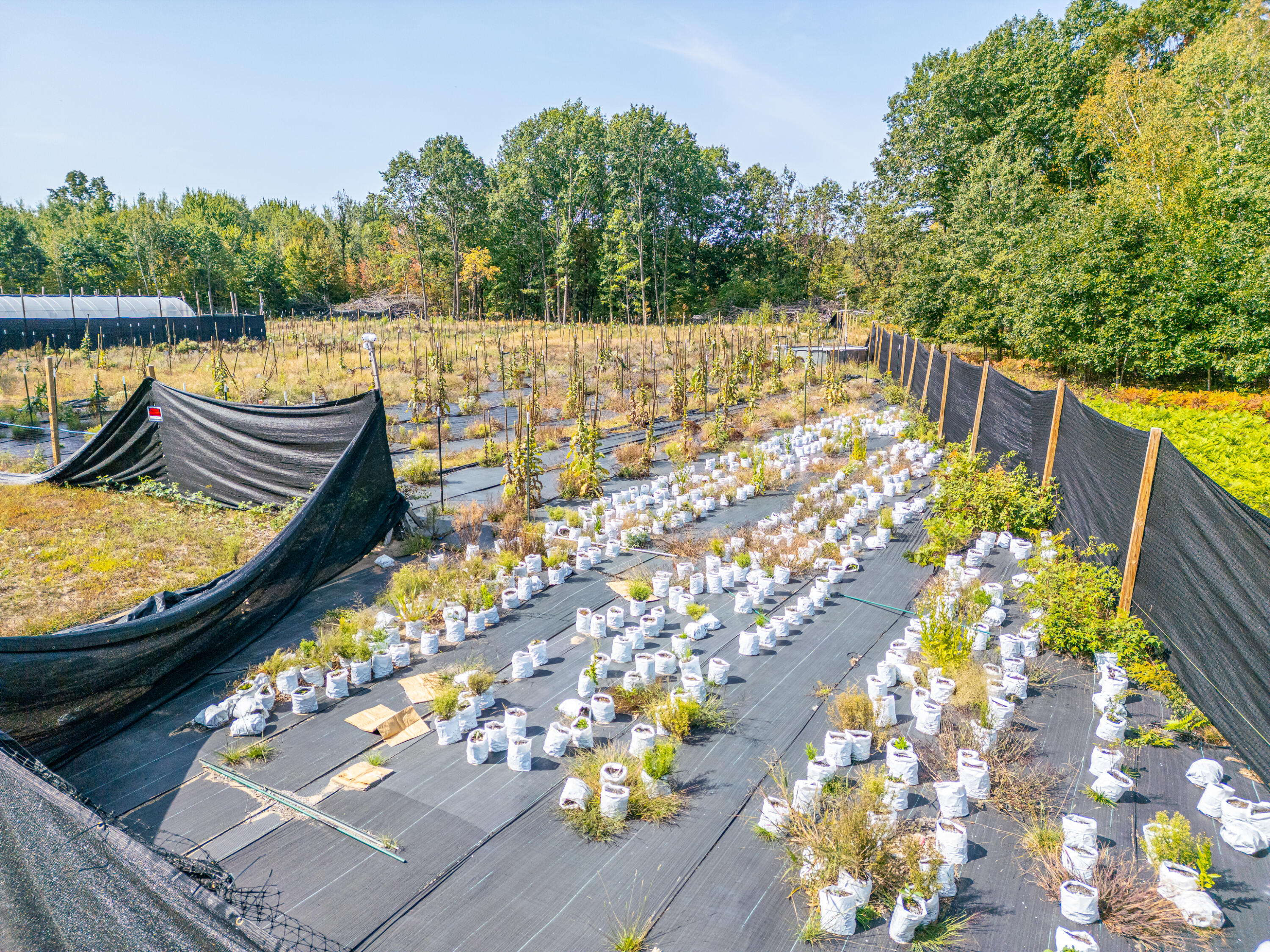 5852 Northwest County Line Road Coleman, MI 48618 - Photo 61 of 97 N W County Line Rd - MLS-49