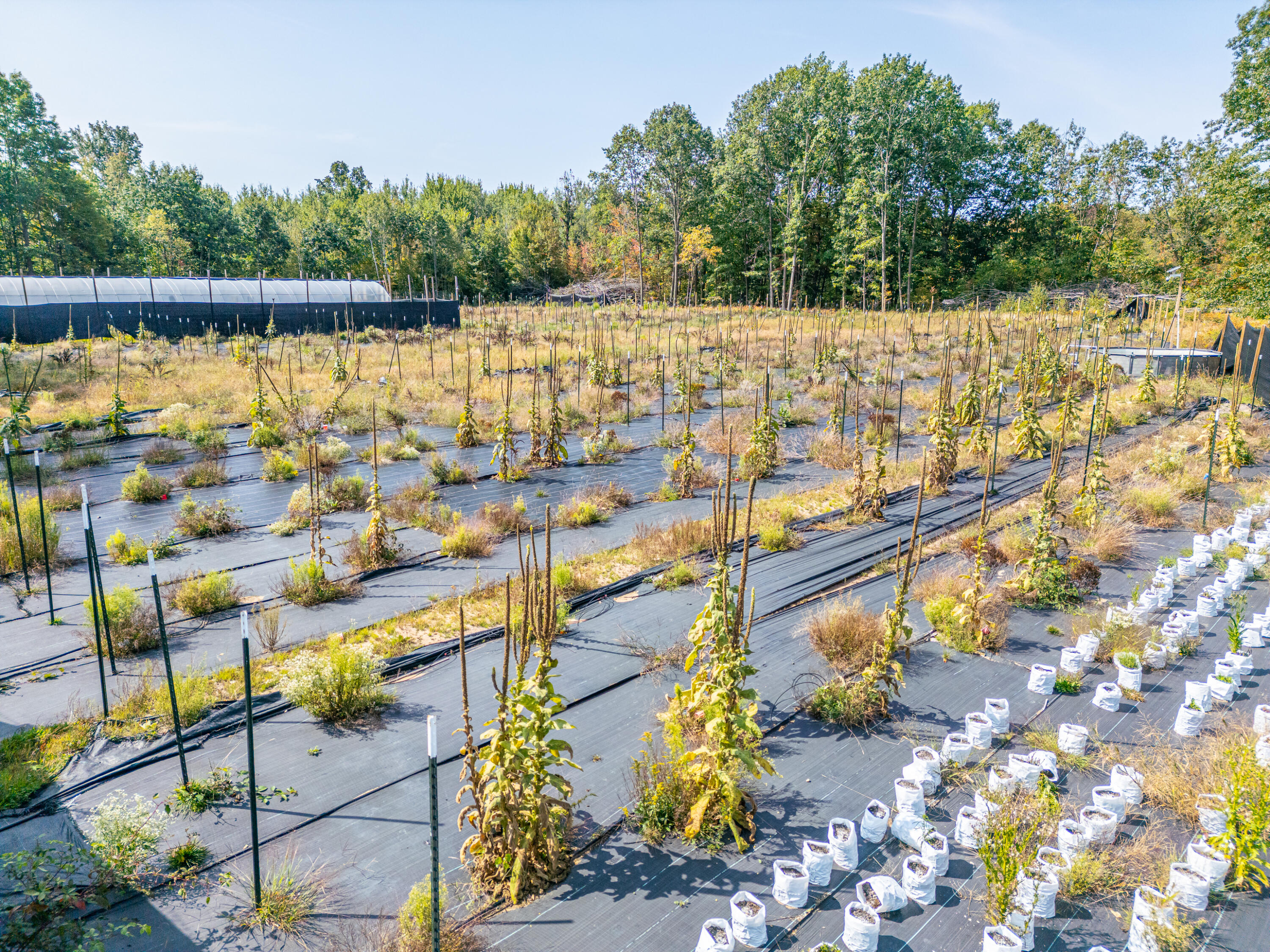 5852 Northwest County Line Road Coleman, MI 48618 - Photo 62 of 97 N W County Line Rd - MLS-50