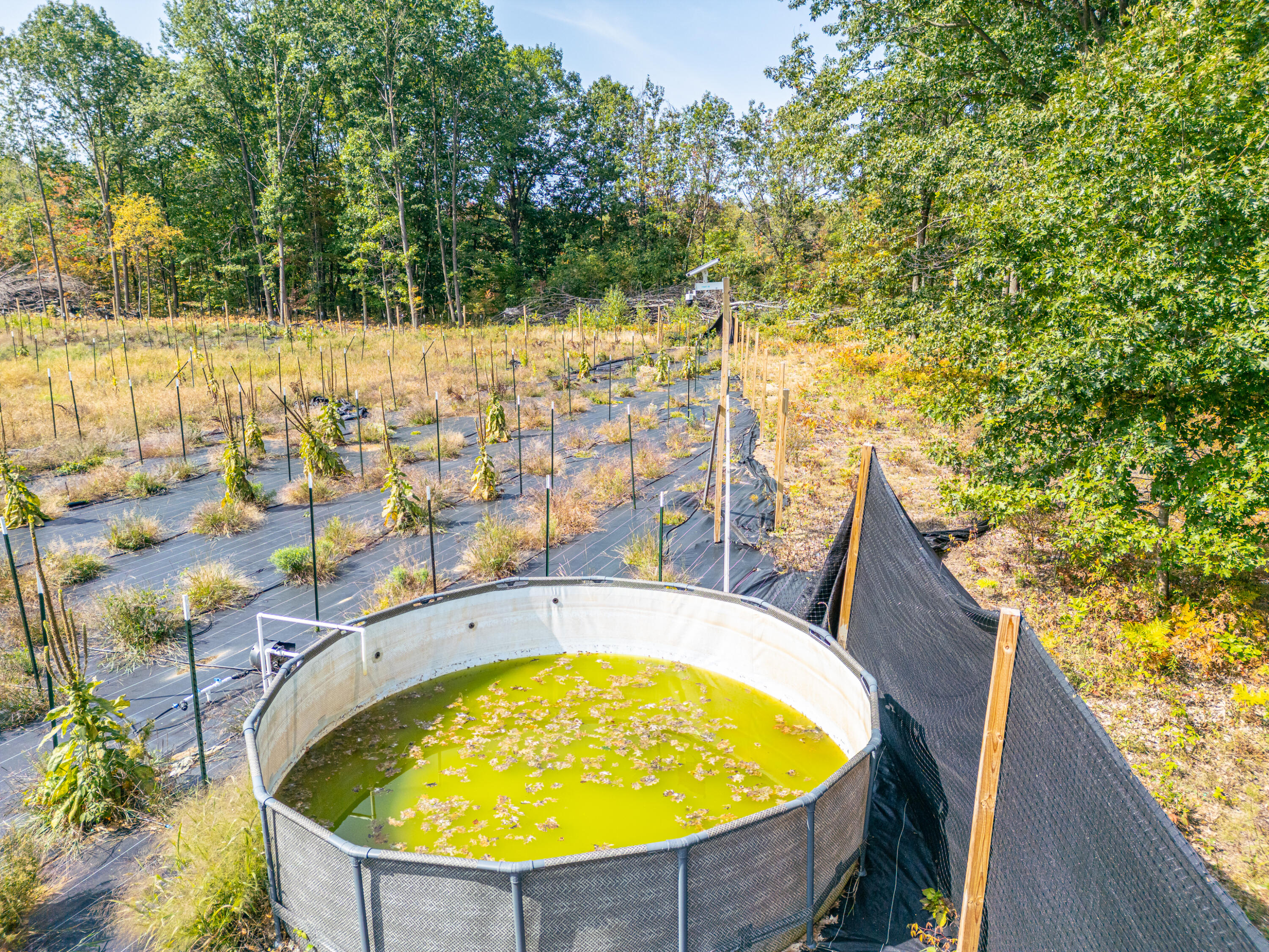 5852 Northwest County Line Road Coleman, MI 48618 - Photo 63 of 97 N W County Line Rd - MLS-51