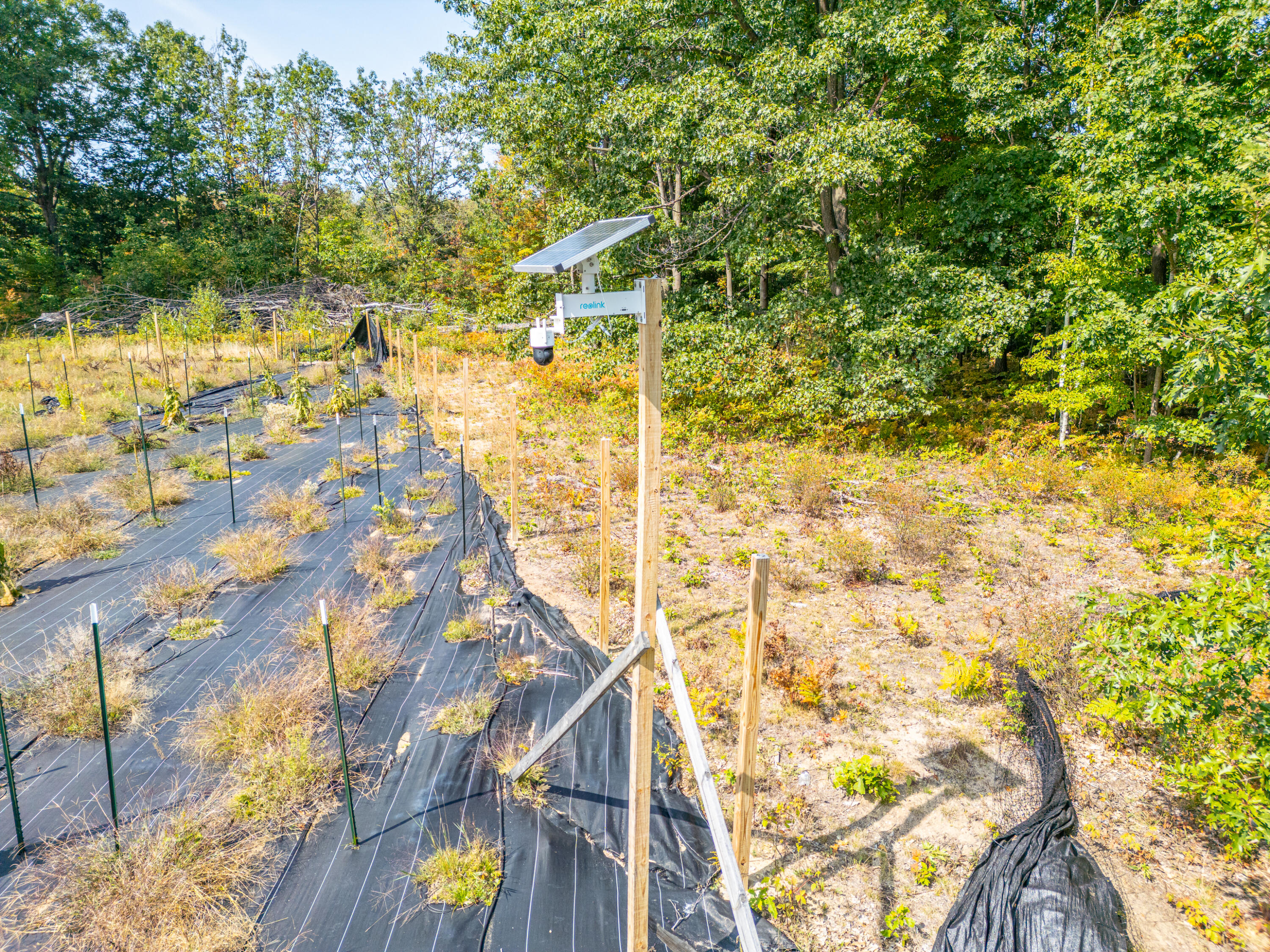 5852 Northwest County Line Road Coleman, MI 48618 - Photo 64 of 97 N W County Line Rd - MLS-52