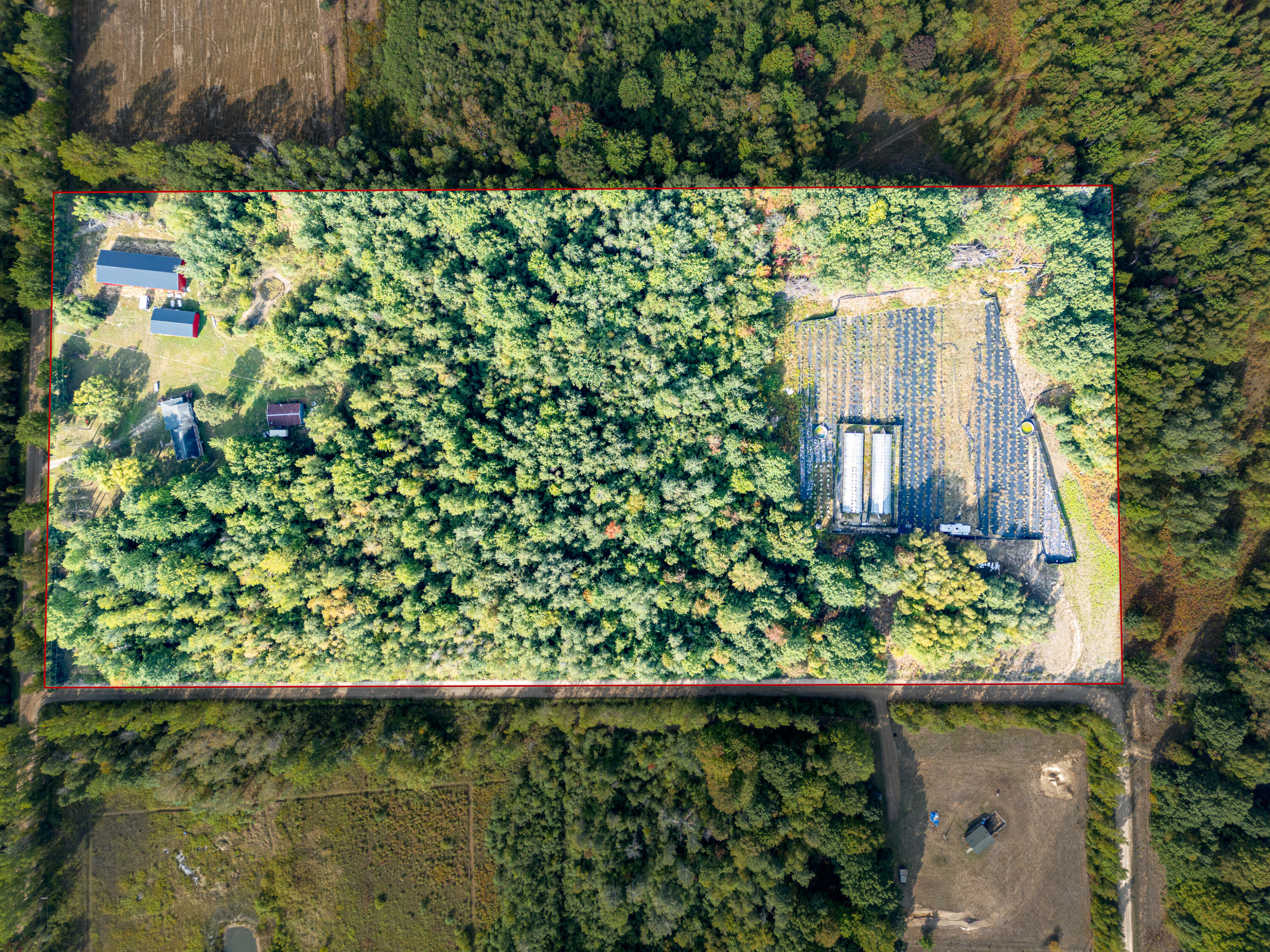 5852 Northwest County Line Road Coleman, MI 48618 - Photo 7 of 97 N W County Line Rd - MLS-1