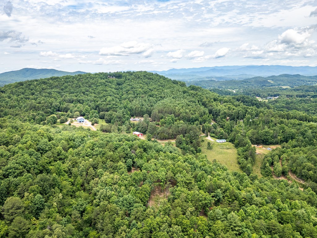 1 Stormy Ridge Brasstown, NC 28902 - Photo 16 of 20