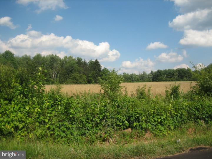 116 Kinsey Road Harleysville, PA 19438 - Photo 3 of 4 View 2