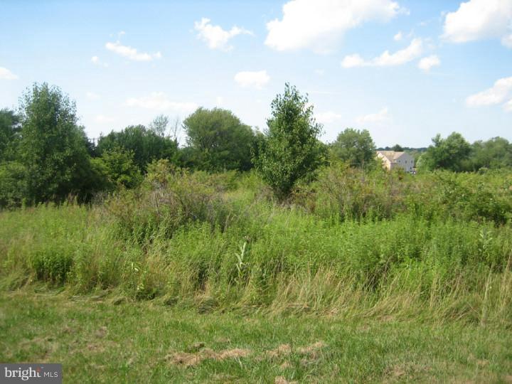 116 Kinsey Road Harleysville, PA 19438 - Photo 4 of 4 View 2