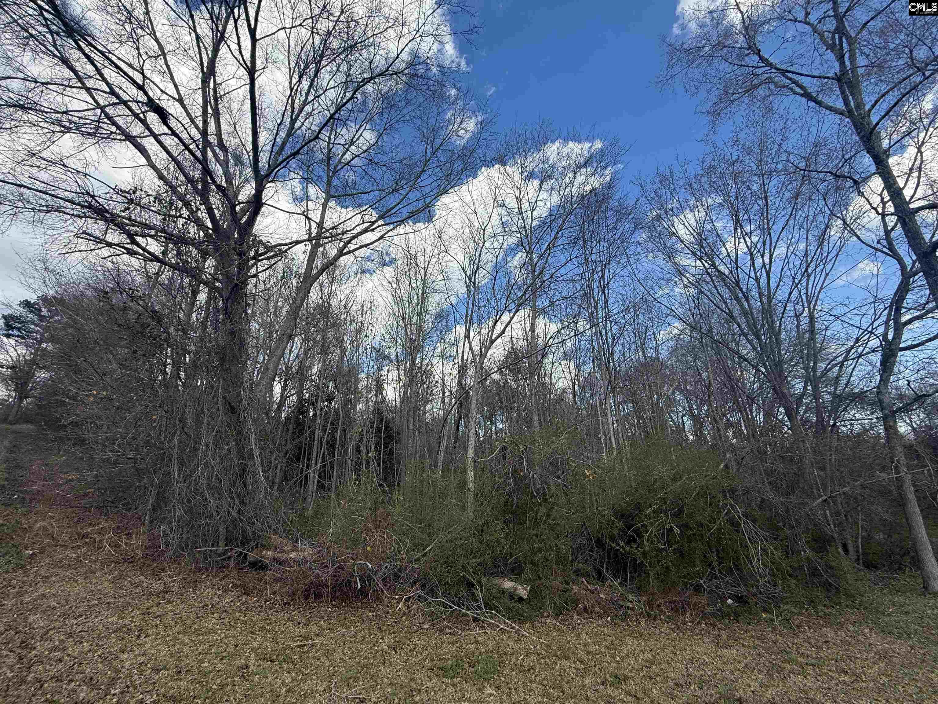 245 Slayton Street Whitmire, SC 29178 - Photo 1 of 1