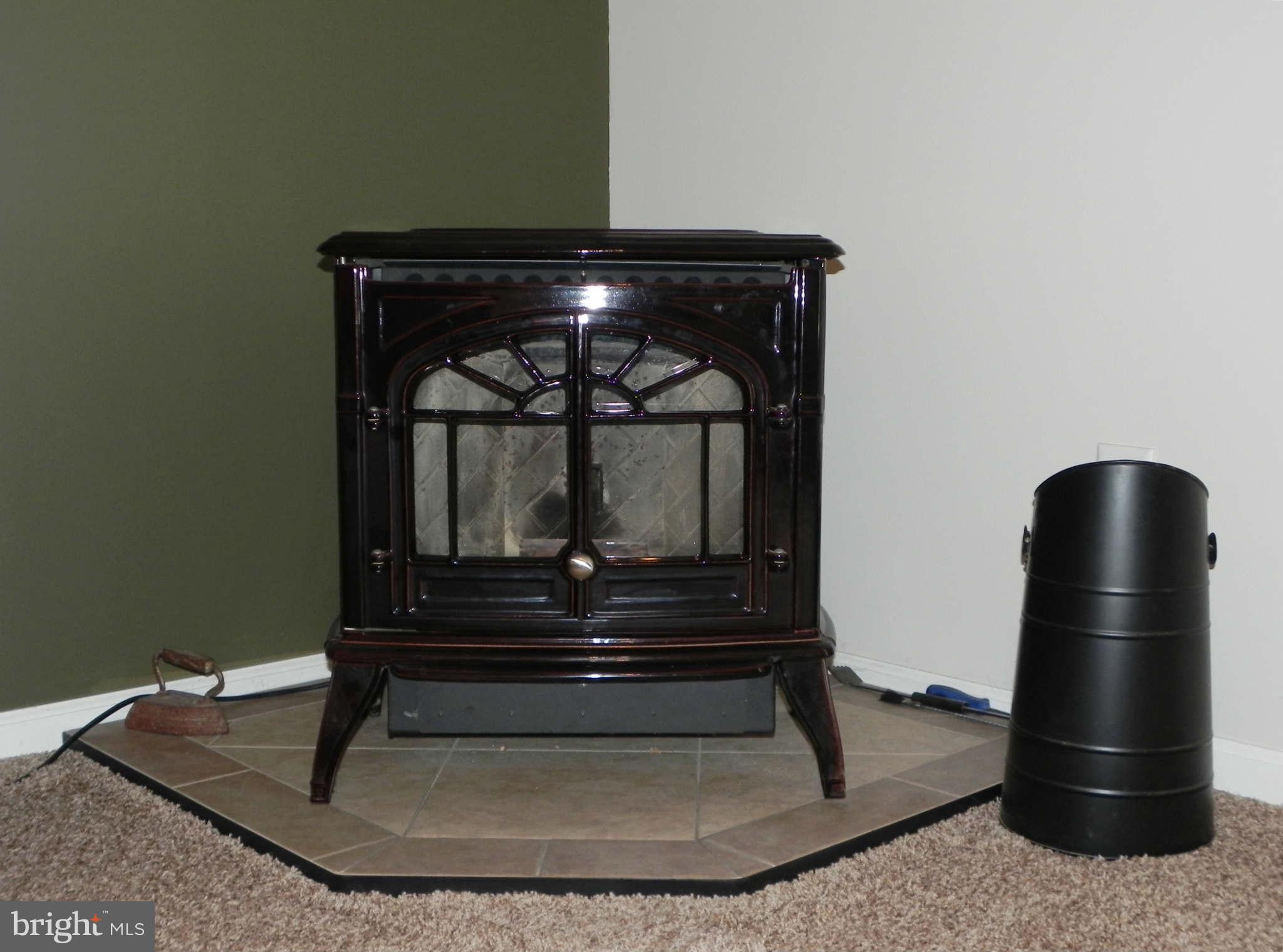 293 Fantasia Road Inwood, WV 25428 - Photo 13 of 30 Pellet Stove in Family Room