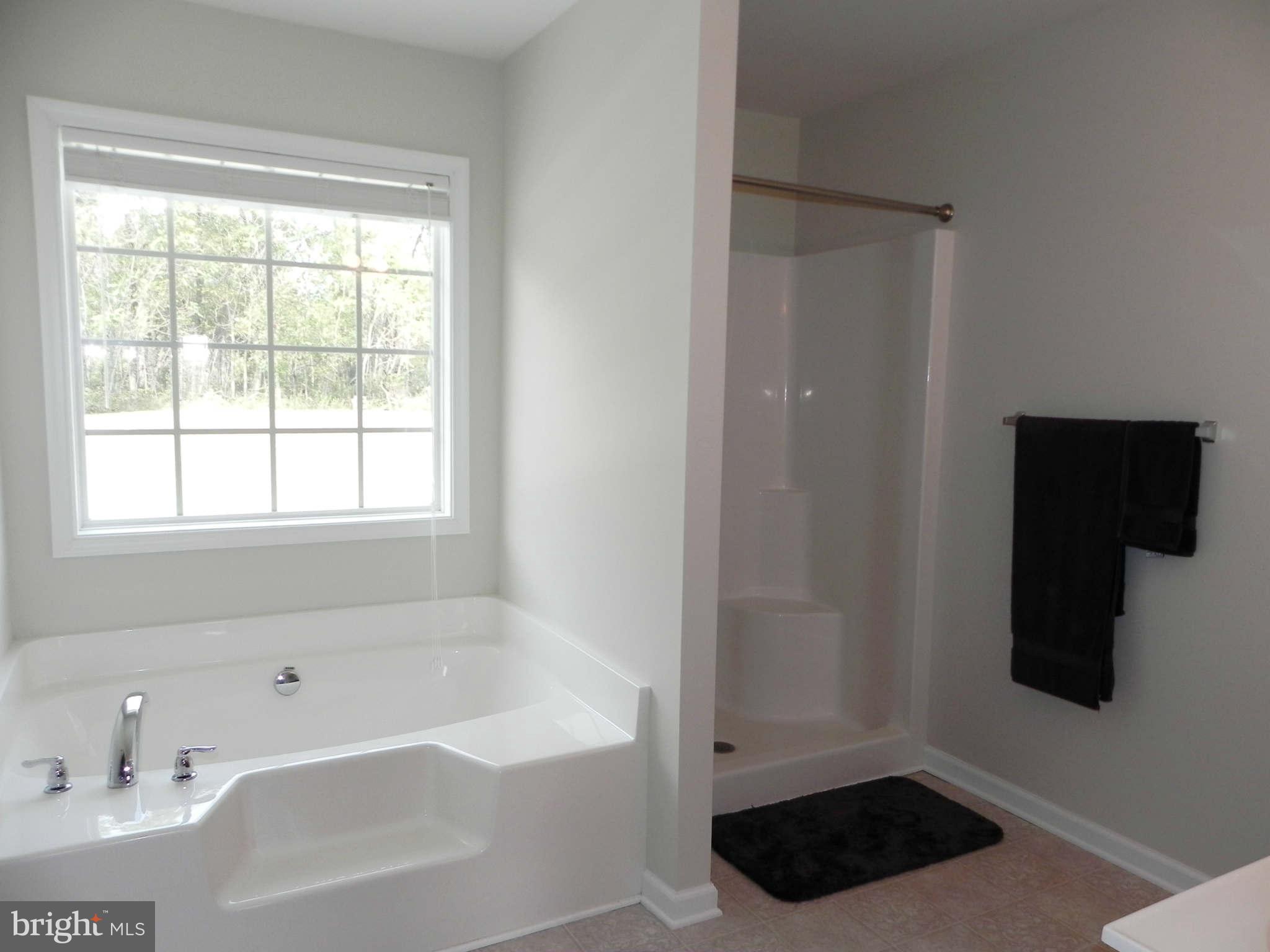 293 Fantasia Road Inwood, WV 25428 - Photo 18 of 30 Bath (Master) w/ Soaking Tub & Sep Shower