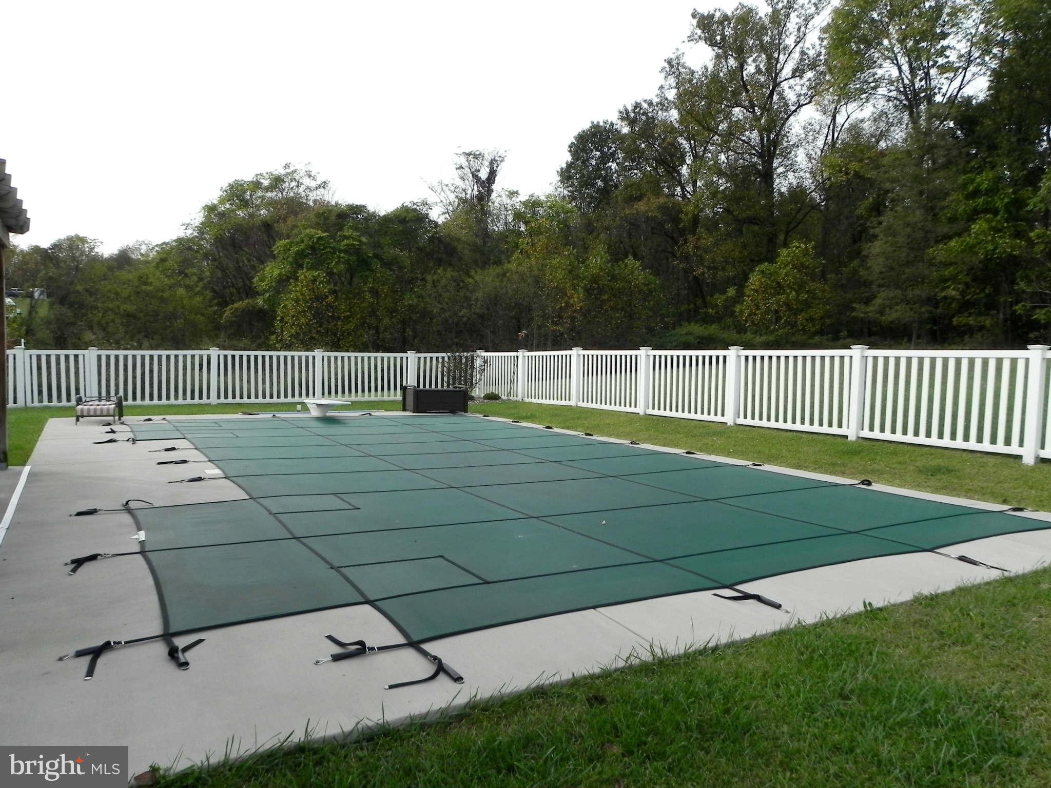 293 Fantasia Road Inwood, WV 25428 - Photo 29 of 30 In-Ground Pool w/ Diving Board