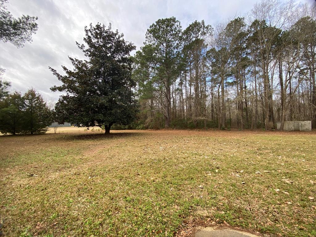 2310 Addison Street Sumter, SC 29153 - Photo 5 of 6 Gallery Image 5