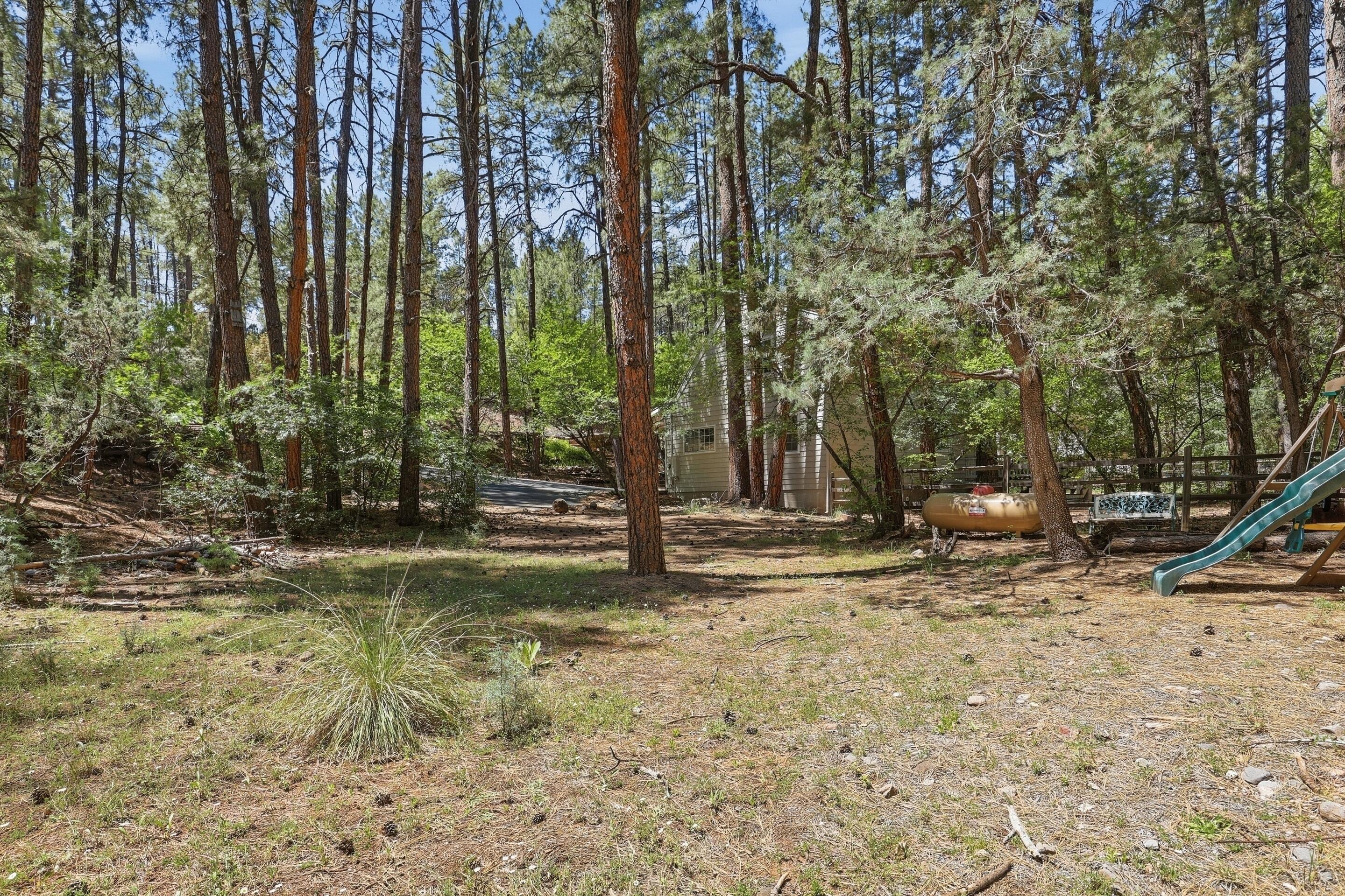 6322 Sharyn Road Pine, AZ 85544 - Photo 34 of 37 a view of a tree in the middle of a yard