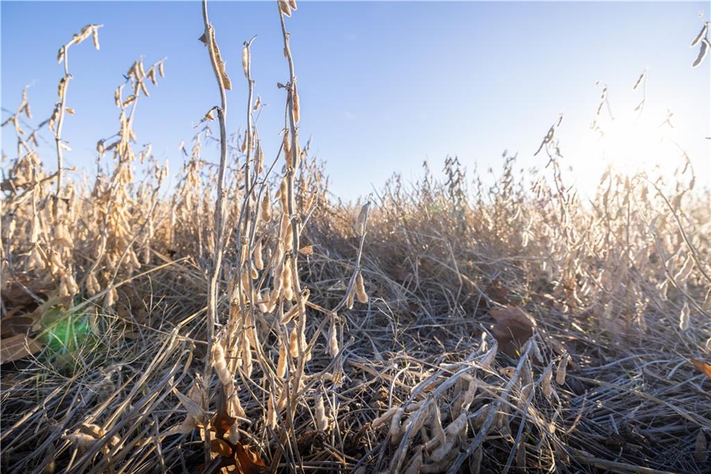 0 West 17th Street Pleasanton, KS 66075 - Photo 22 of 26