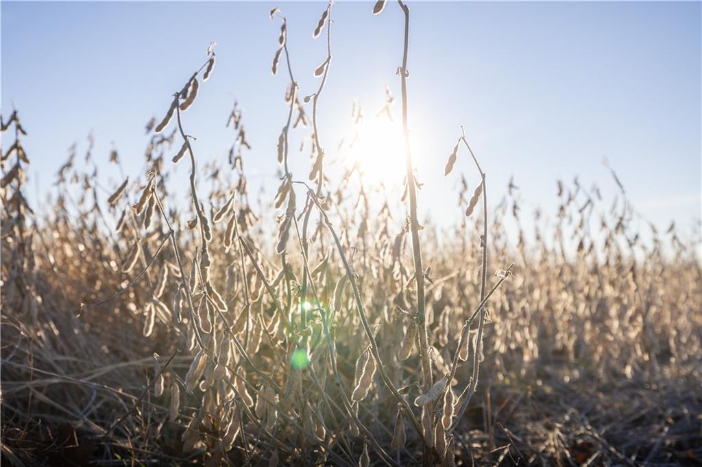 0 West 17th Street Pleasanton, KS 66075 - Photo 23 of 26
