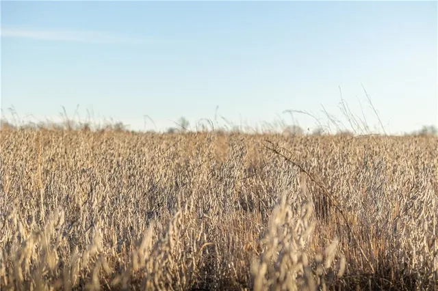 $585,000 | 0 West 17th Street, Pleasanton, KS 66075