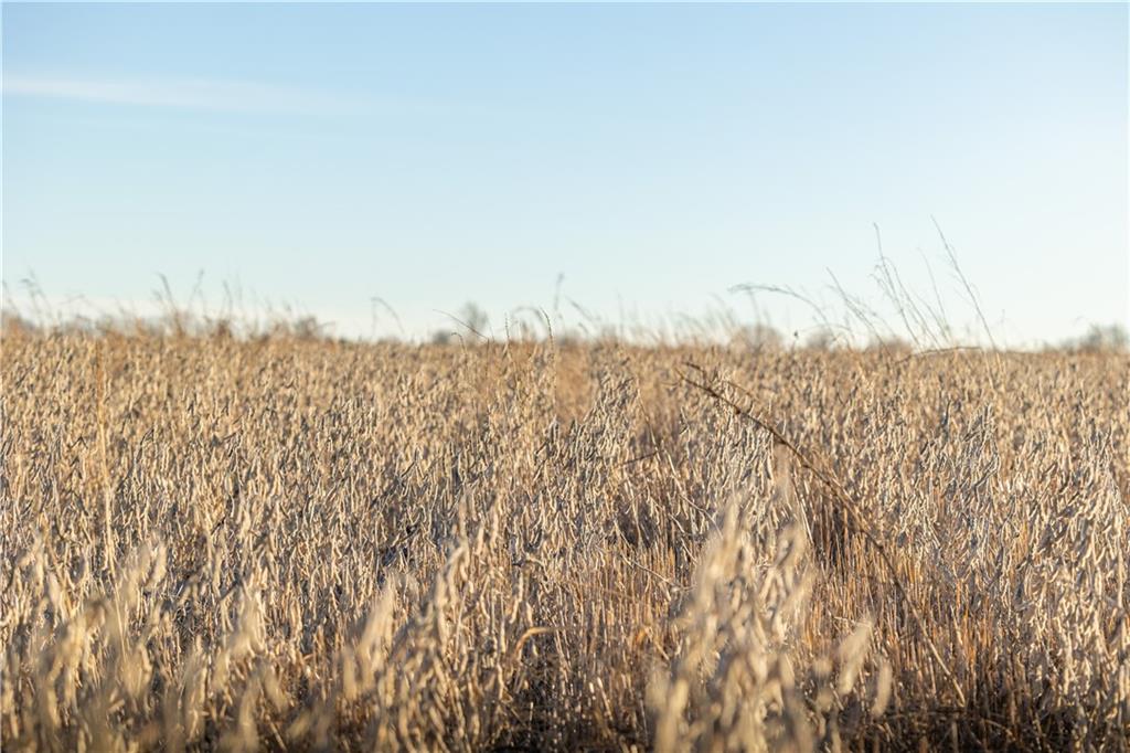 0 West 17th Street Pleasanton, KS 66075 - Photo 24 of 26