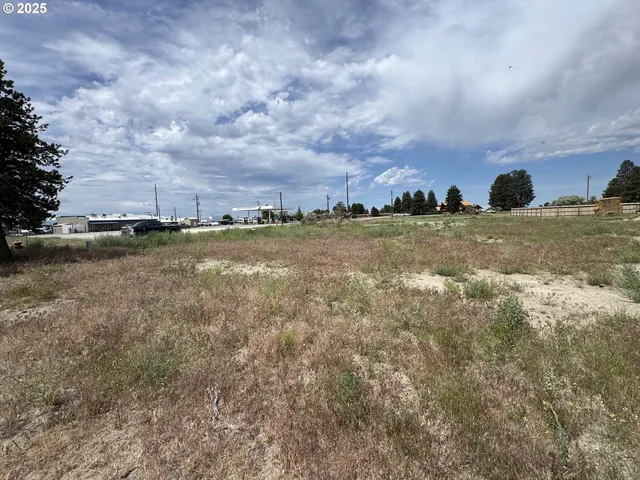 $23,500 | Holly Lane, Unit 600, Christmas Valley, OR 97641