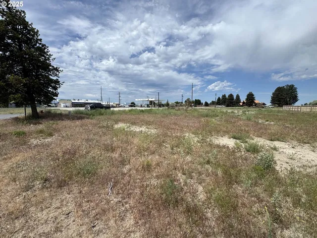 $23,500 | Holly Lane, Unit 600, Christmas Valley, OR 97641