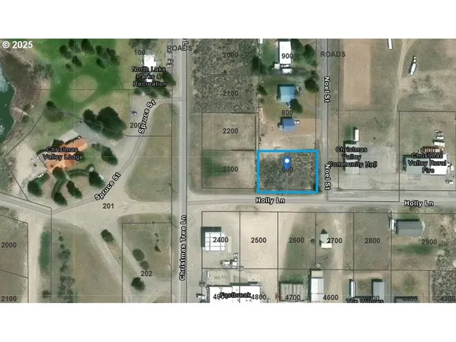 $23,500 | Holly Lane, Unit 600, Christmas Valley, OR 97641