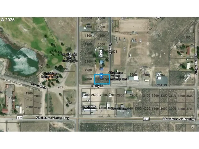 $23,500 | Holly Lane, Unit 600, Christmas Valley, OR 97641