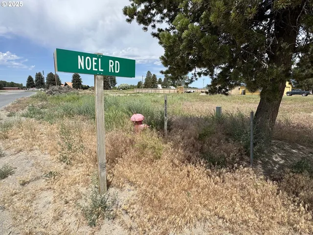 $23,500 | Holly Lane, Unit 600, Christmas Valley, OR 97641