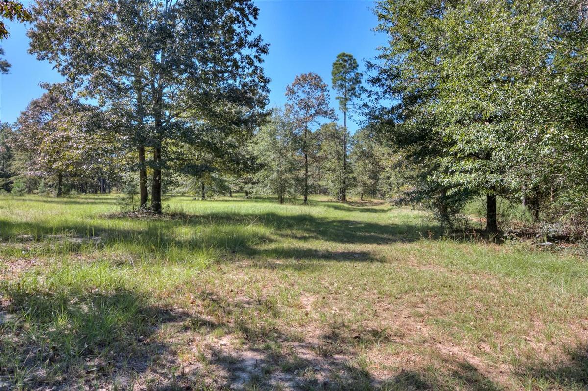 331 Vintage Vale Road Aiken, SC 29805 - Photo 38 of 46 38-038-