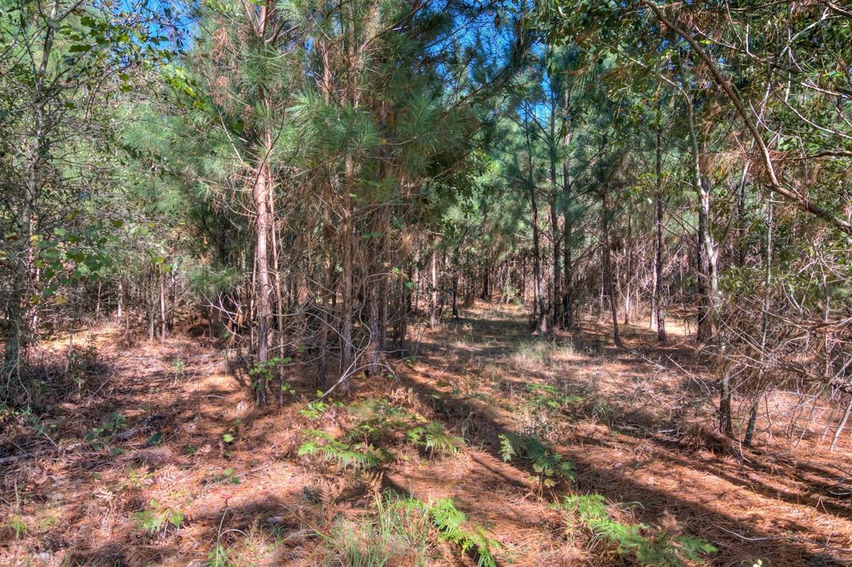 331 Vintage Vale Road Aiken, SC 29805 - Photo 39 of 46 39-039-