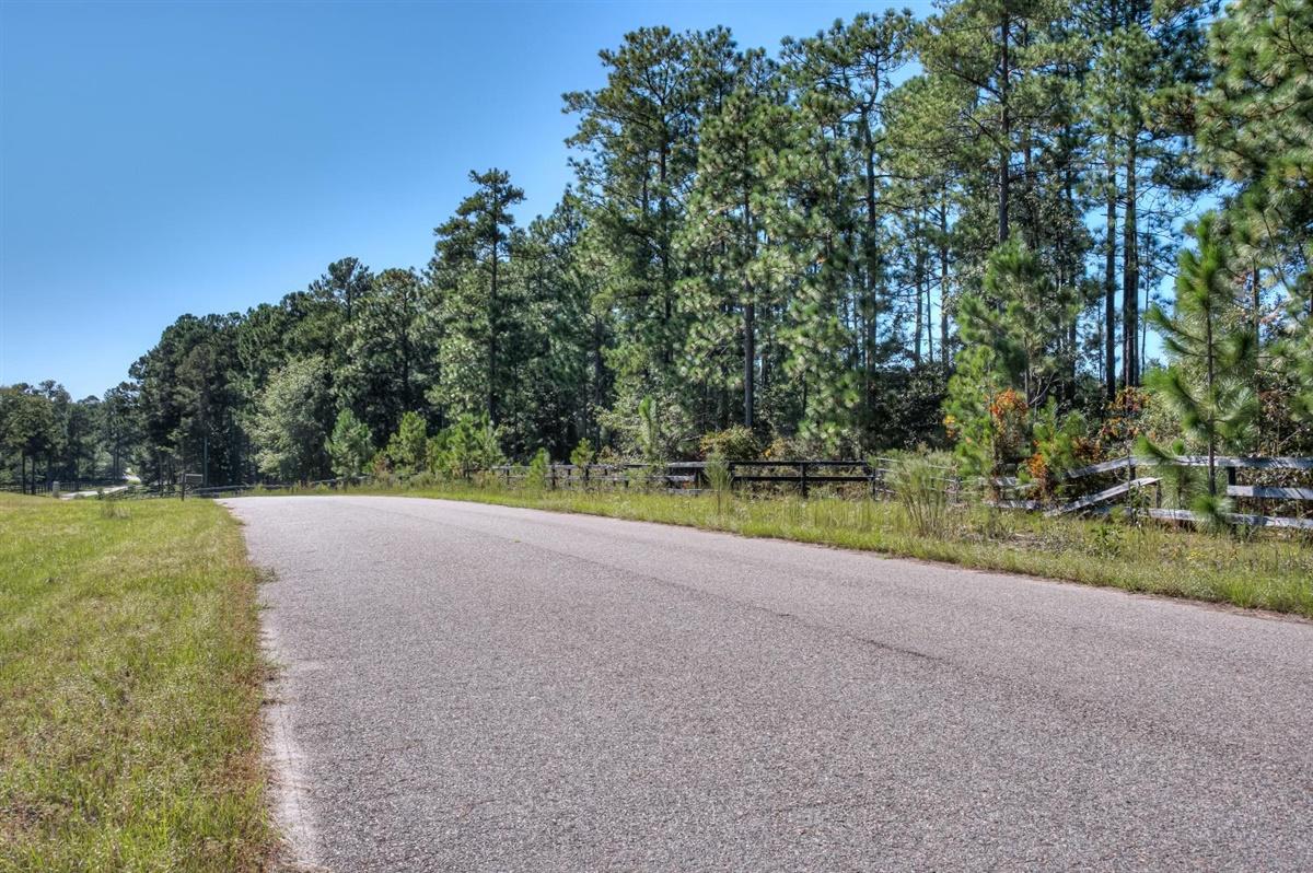 331 Vintage Vale Road Aiken, SC 29805 - Photo 44 of 46 44-044-
