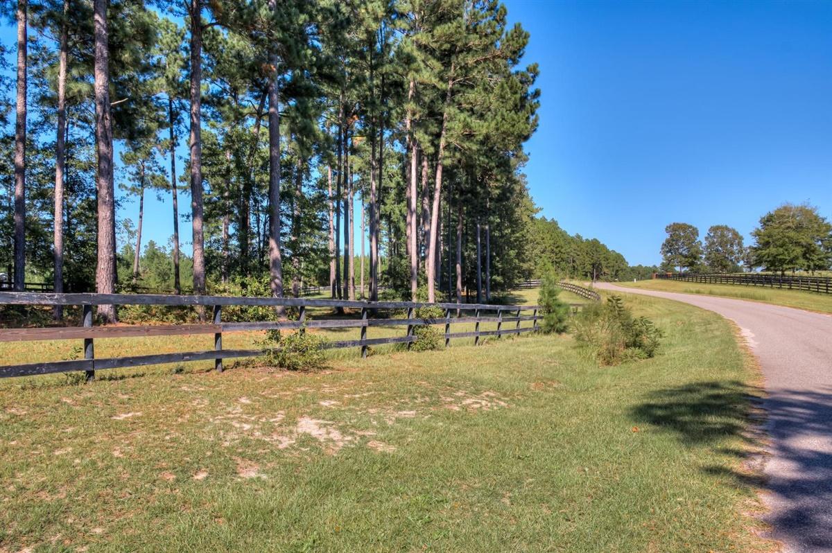 331 Vintage Vale Road Aiken, SC 29805 - Photo 45 of 46 45-045-