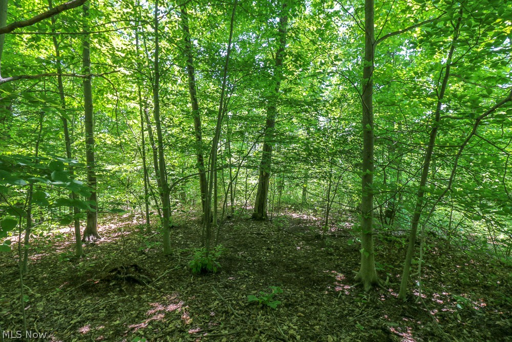 Hines Ridge Rd Port Port Washington, OH 43837 - Photo 21 of 35 Gallery Image 21