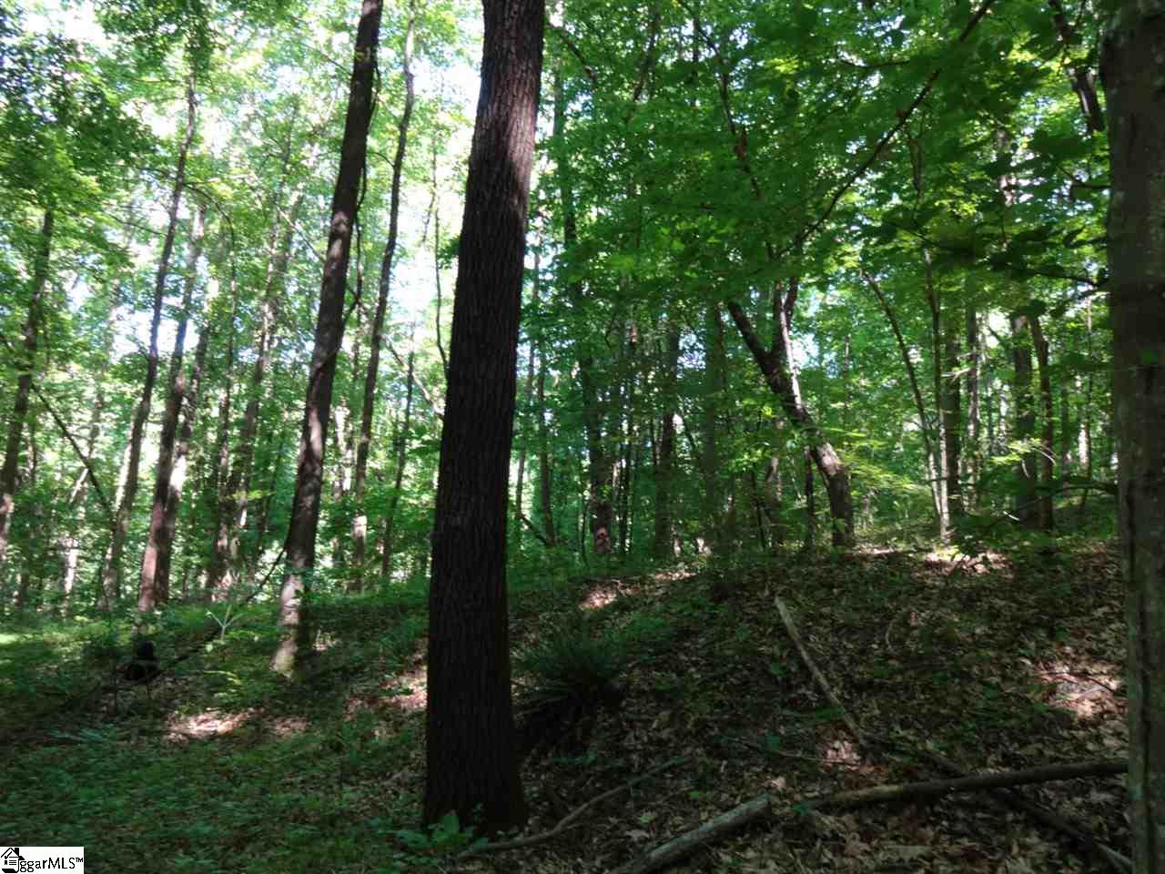 0 North Tigerville Road Travelers Rest, SC 29690 - Photo 17 of 29 Gallery Image 17