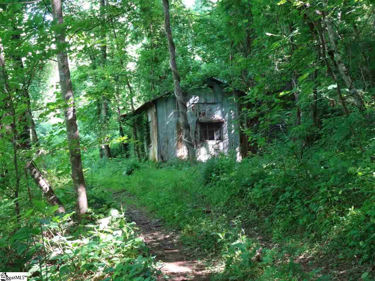0 North Tigerville Road Travelers Rest, SC 29690 - Photo 7 of 29 Gallery Image 7