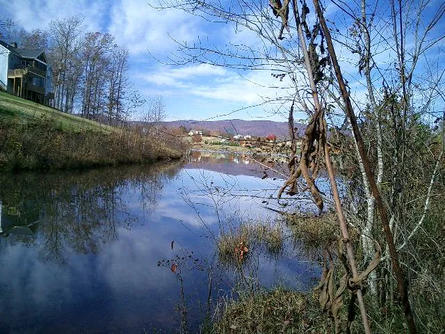 $80,000 | 0 The Bear Boulevard, Tamassee, SC 29686