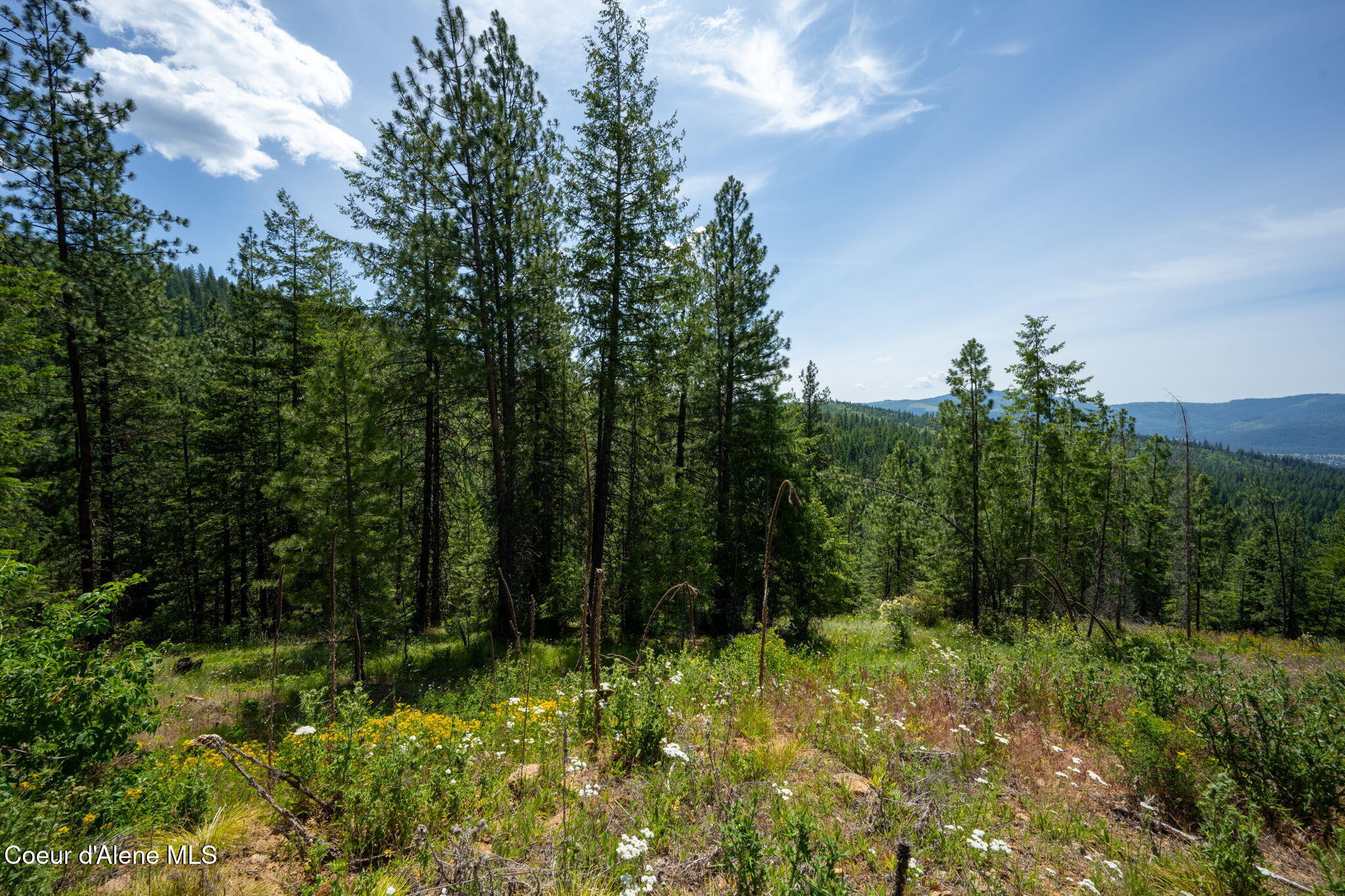2089 Tower Mountain Road Blanchard, ID 83804 - Photo 26 of 35 33-web-or-mls-DSC_5650