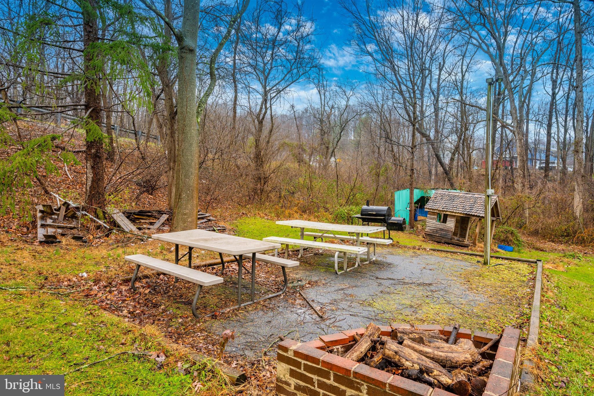 3813 Basford Road Frederick, MD 21703 - Photo 8 of 40 Lovely picnic area with firepit.