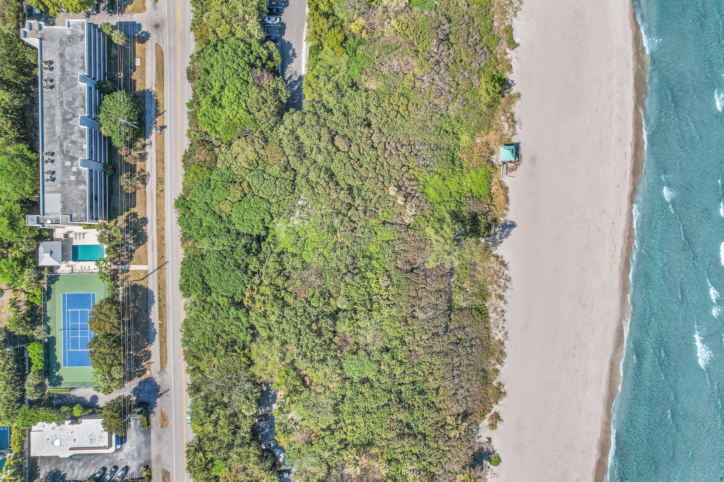 277 North Ocean Boulevard, Unit 1010 Boca Raton, FL 33432 - Photo 26 of 30 a close up of a plant in a garden