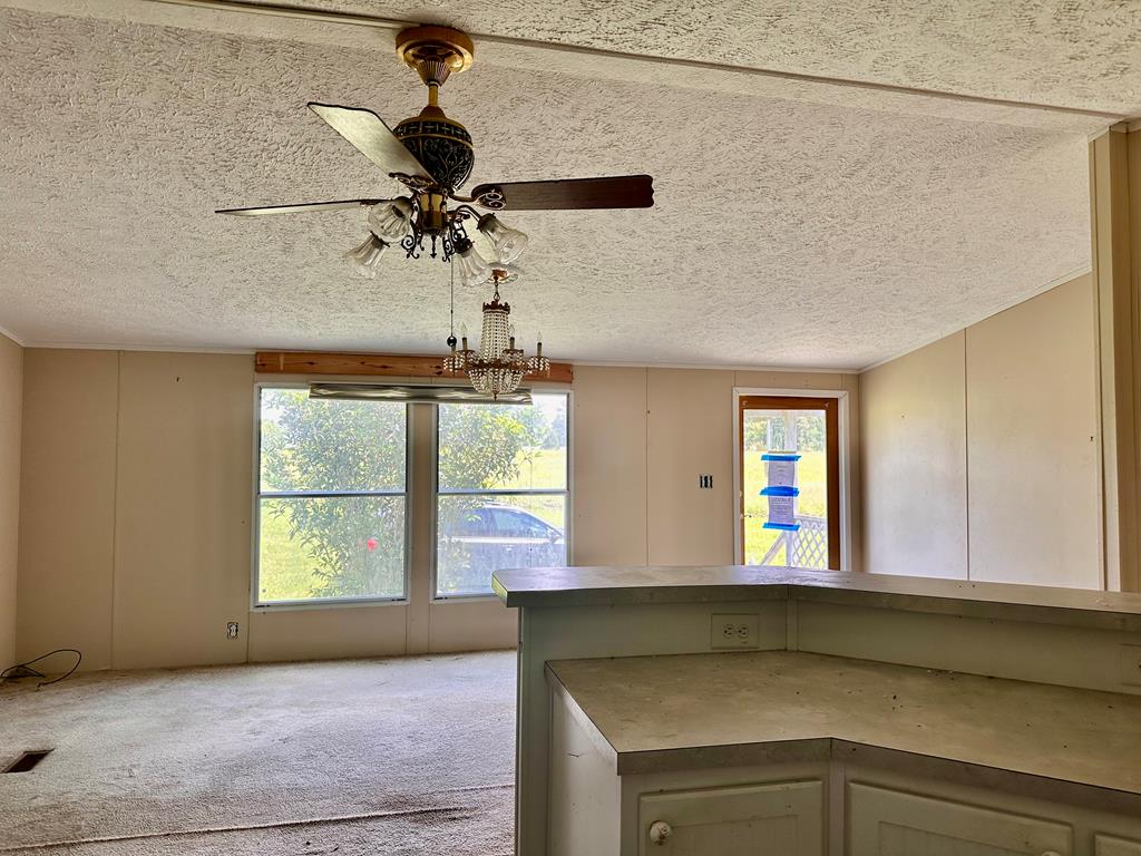 1563 Ga Highway Colquitt, GA 39837 - Photo 16 of 23