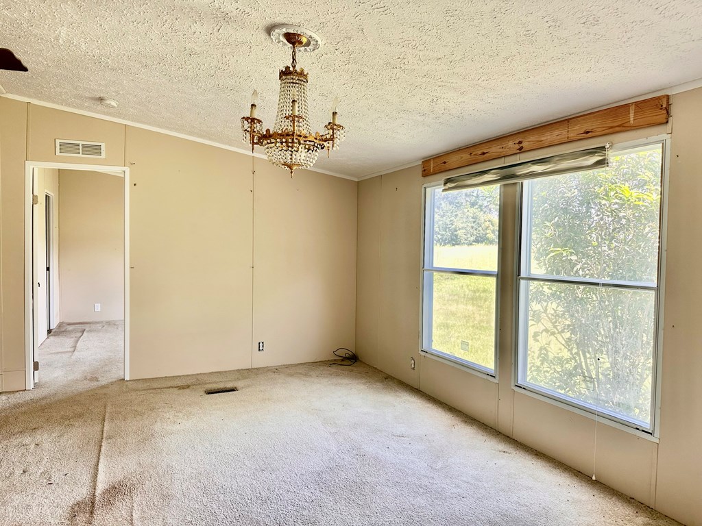1563 Ga Highway Colquitt, GA 39837 - Photo 18 of 23