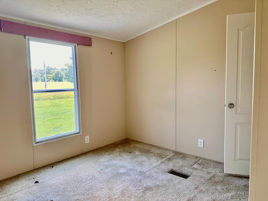 1563 Ga Highway Colquitt, GA 39837 - Photo 19 of 23