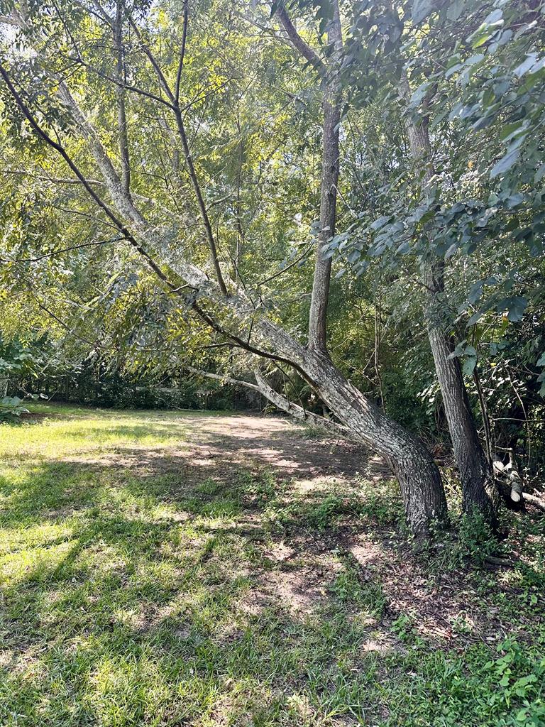 1563 Ga Highway Colquitt, GA 39837 - Photo 8 of 23