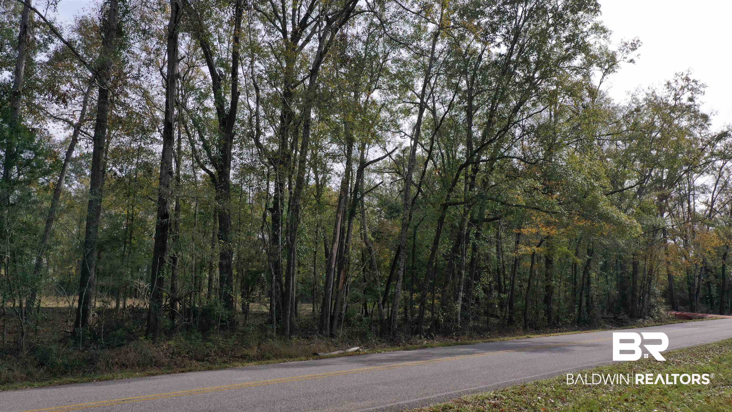 0 Rockhill Road Bay Minette, AL 36507 - Photo 15 of 32