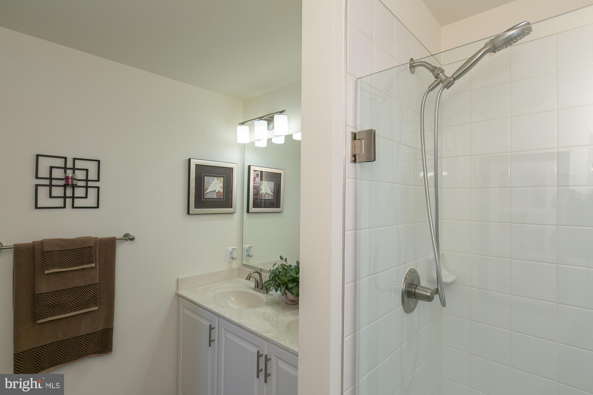 51 Ludgate Manor Falling Waters, WV 25419 - Photo 32 of 59 Primary bathroom with sleek design.