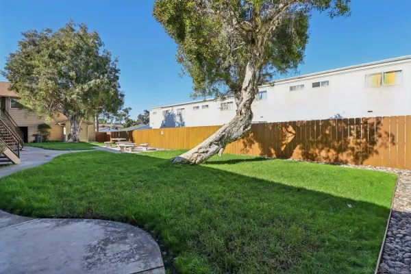 a view of a backyard with a garden and plants