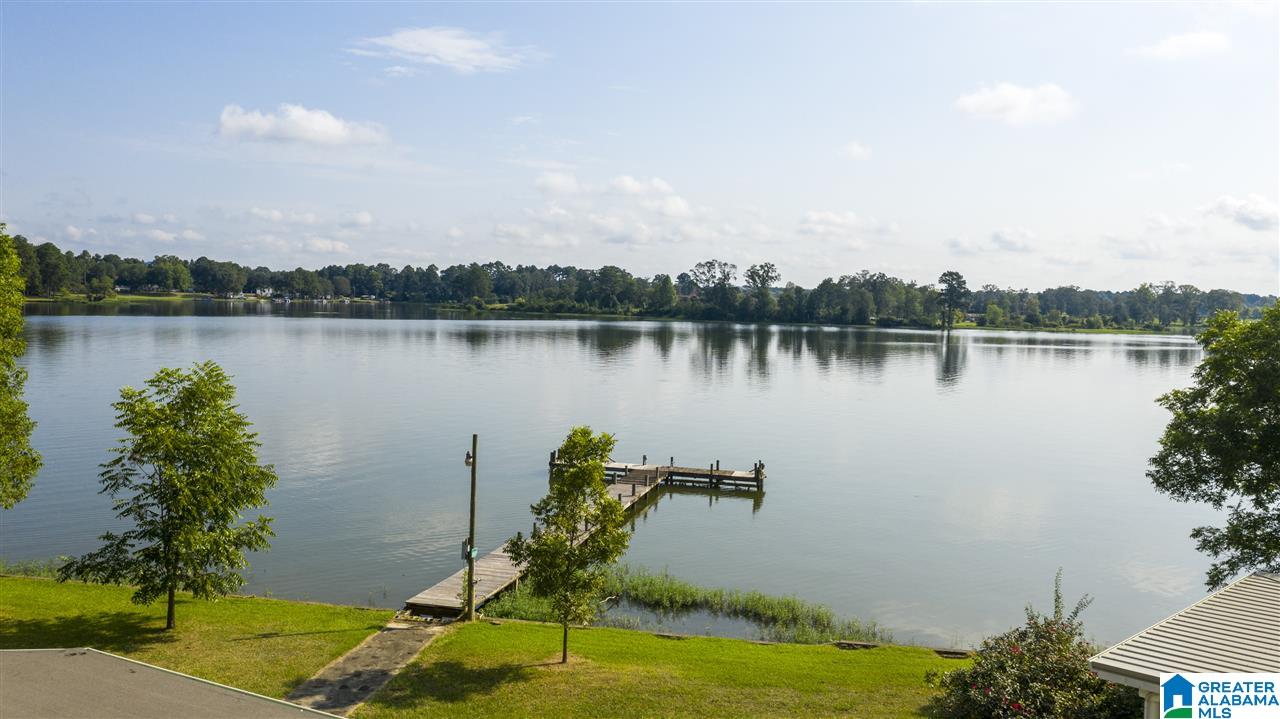 741 Coves Point Drive Riverside, AL 35135 - Photo 45 of 50