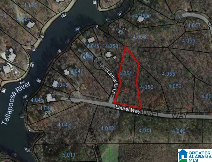 0 Laurel Way, Unit LOT 77 Wedowee, AL 36278 - Photo 4 of 4