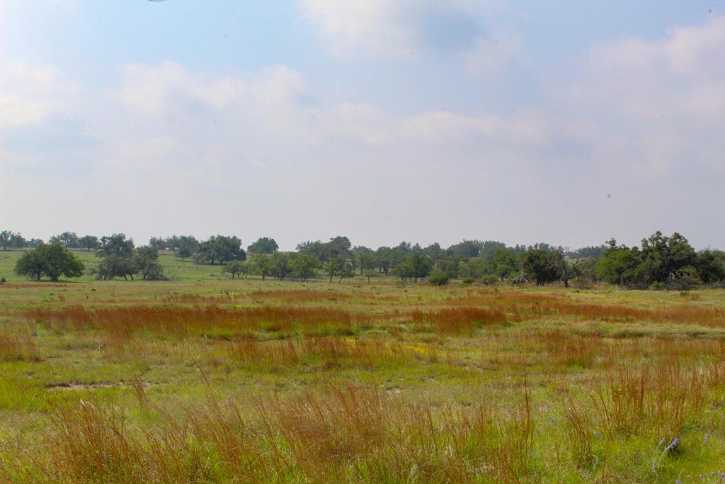 14 Apache Trace Northwest, Unit 13 Harper, TX 78631 - Photo 1 of 1 Main View