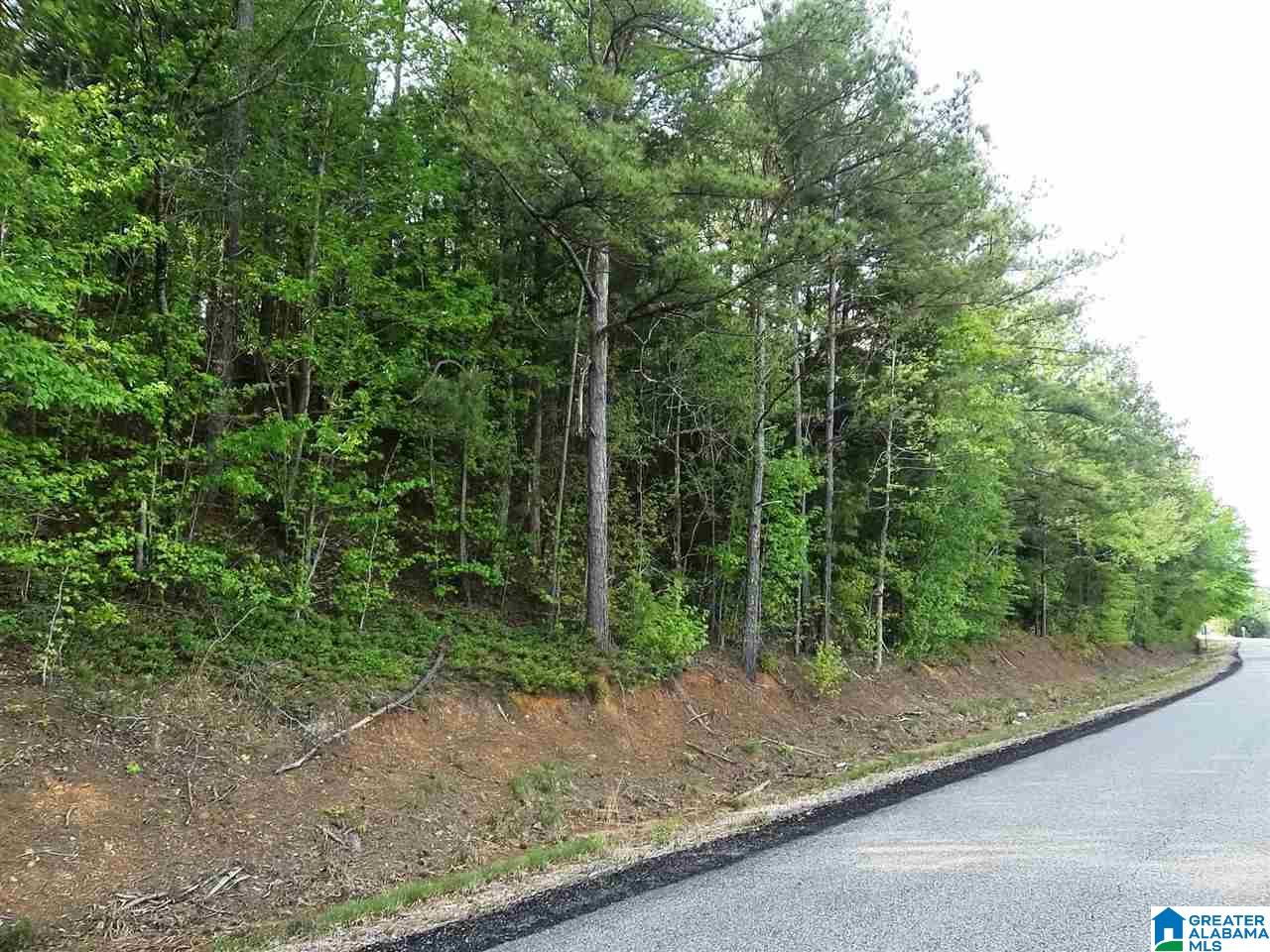 Stockdale Road, Unit 11 81 Talladega, AL 35160 - Photo 2 of 4