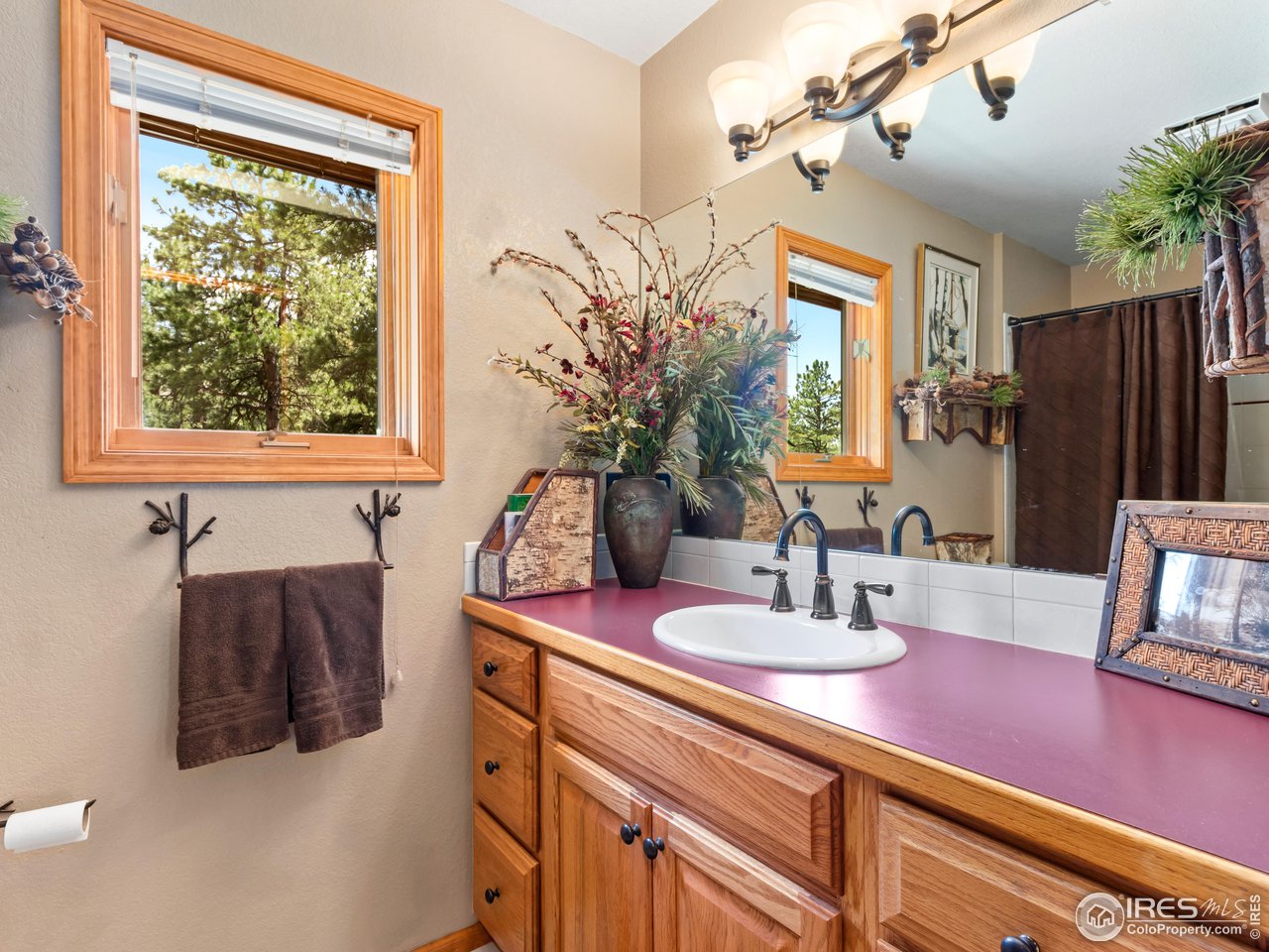 287 Wichita Road Lyons, CO 80540 - Photo 23 of 40 a bathroom with a sink a mirror and a potted plant