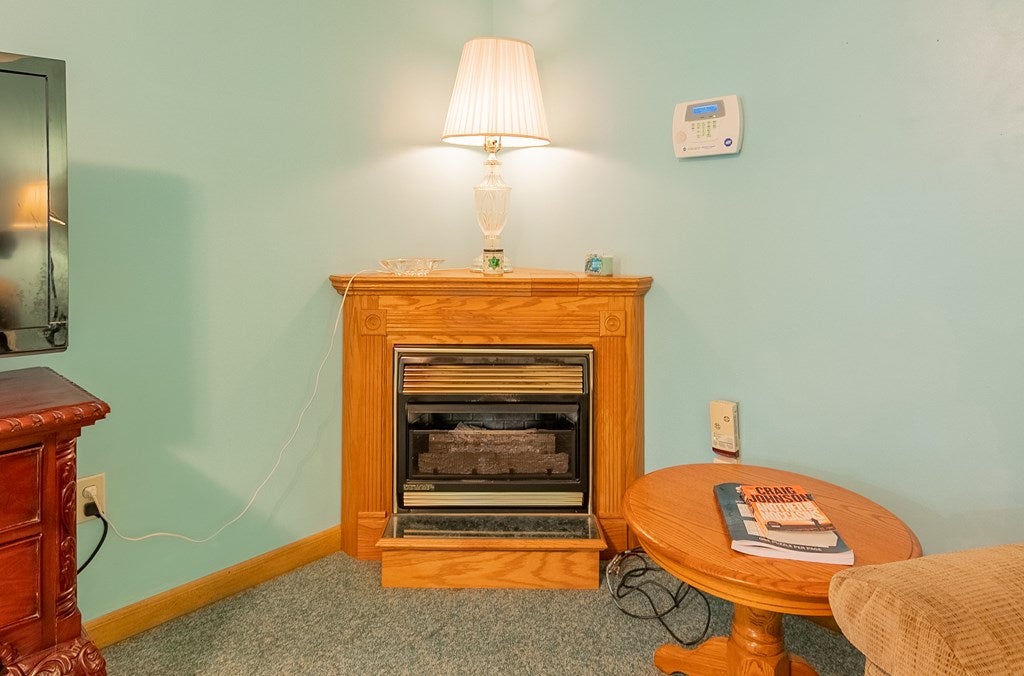 11657 Grapefield Road Bastian, VA 24314 - Photo 27 of 59 Gallery Image 27