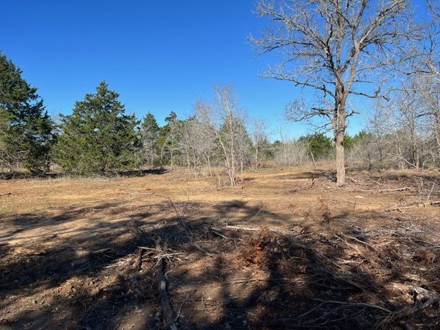 a view of dirt field with trees