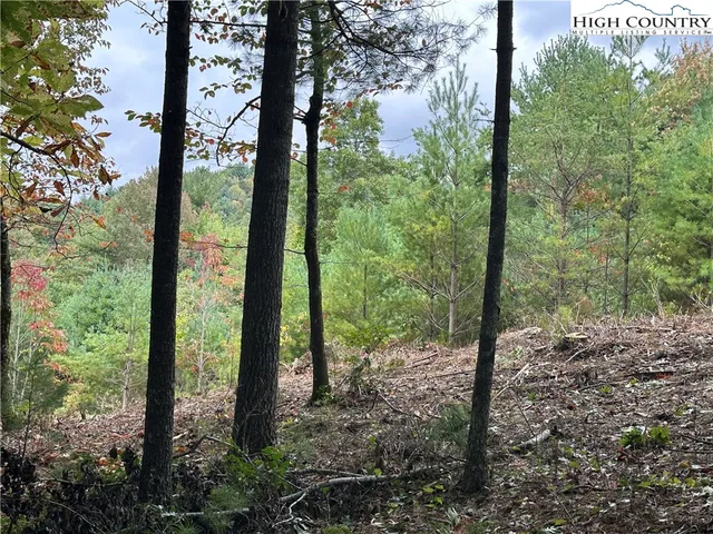 $94,500 | Lot 26 Cascade Run, Purlear, NC 28665