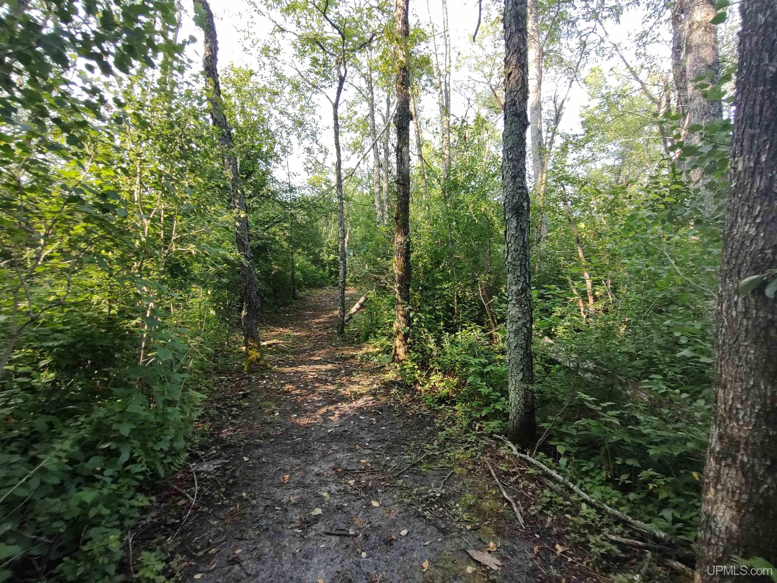 387 Rd Mcmillan Mi 49853 Road Newberry, MI 49868 - Photo 57 of 78